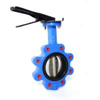 Ductile iron cast iron stainless steel carbon steel  handle manual operated lug type butterfly valve