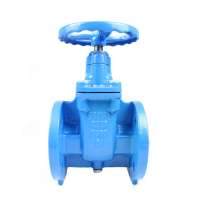 PN16 PN25 DN100 DN150 DN300 BS AWWA Ductile iron hard seal gate valve