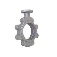 Professional manufacturer customized custom make cast iron valve body precise casting metal valve body for gas water