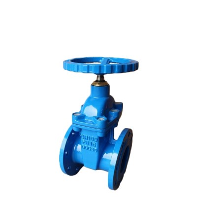 DN40-DN800 Cast iron ductile iron soft sealing gate valve