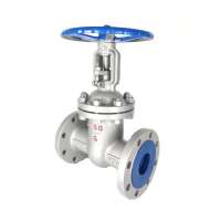 DN80-600 BS AWWA API Flanged Carbon Steel Gate Valve WCB