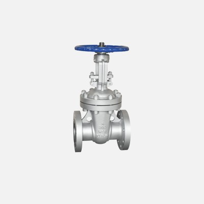 DN50 BS DIN Double Flange Stainless Steel Gate Valve