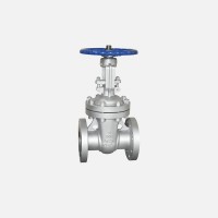 DN50 BS DIN Double Flange Stainless Steel Gate Valve