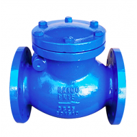 BS DIN AWWA PN16 Duction cast iron body flang Swing Check Valve