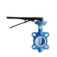 Actuated 4 Inch Italy 10 Lug Cryogenic Grooved Wafer Type Cast Iron Butterfly Valve