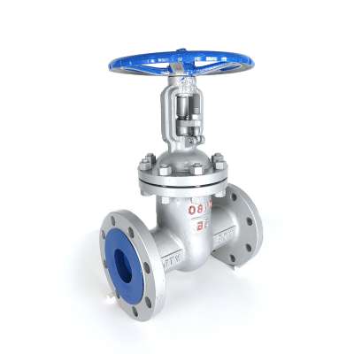 OEM API standard EN593 metal wedge seat WCB cast carbon steel flange gate valve