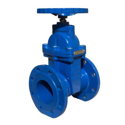 Ductile cast iron GGG50 FLG resilient wedge gate valve