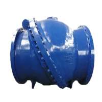 DN1500 Ductile Iron Double Door Flange Swing Check Valve